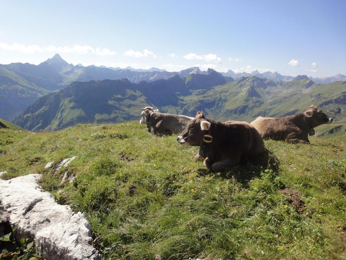 Apartmán Haus Sonnenruh Bad Hindelang Exteriér fotografie