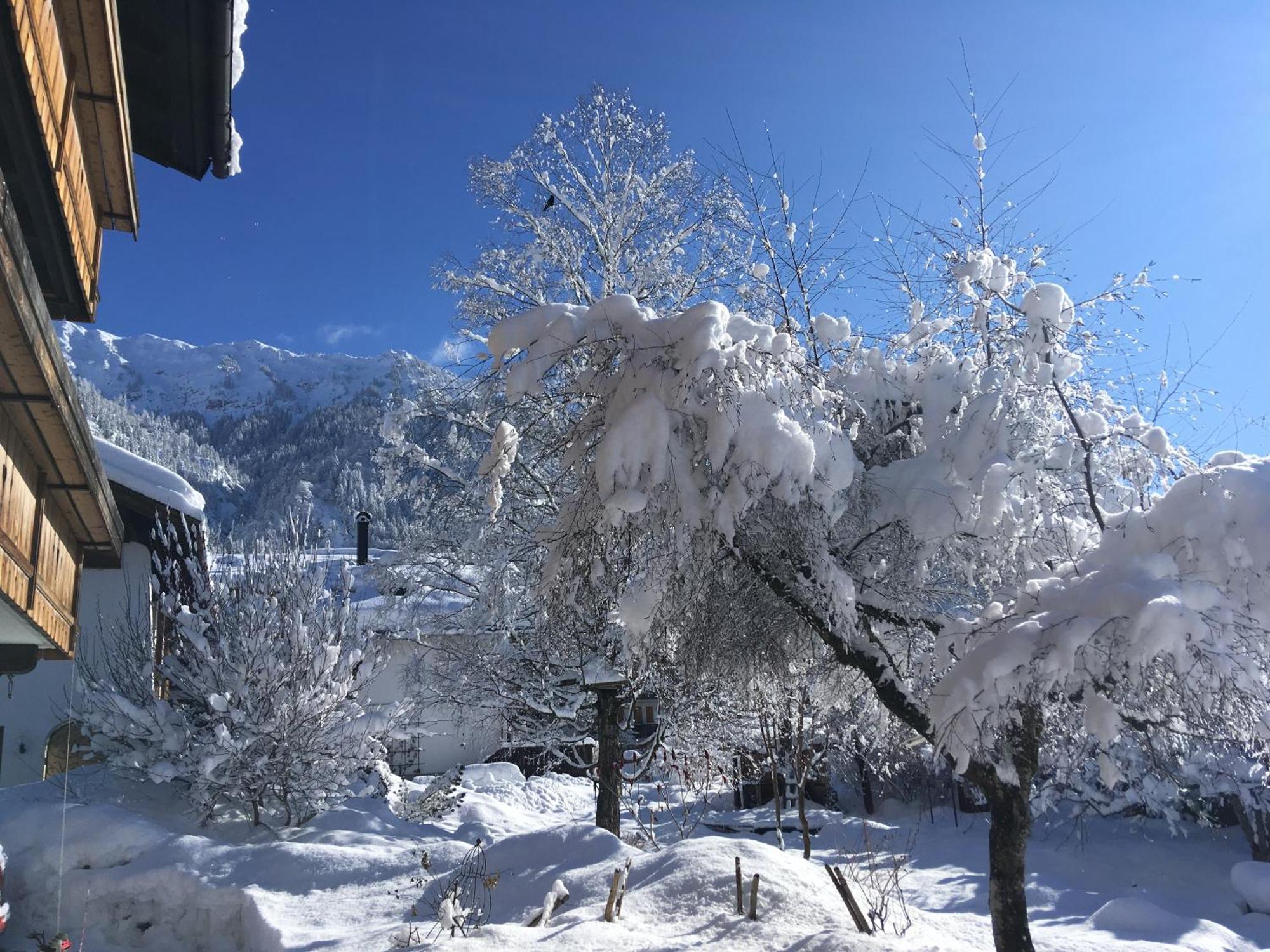Apartmán Haus Sonnenruh Bad Hindelang Exteriér fotografie