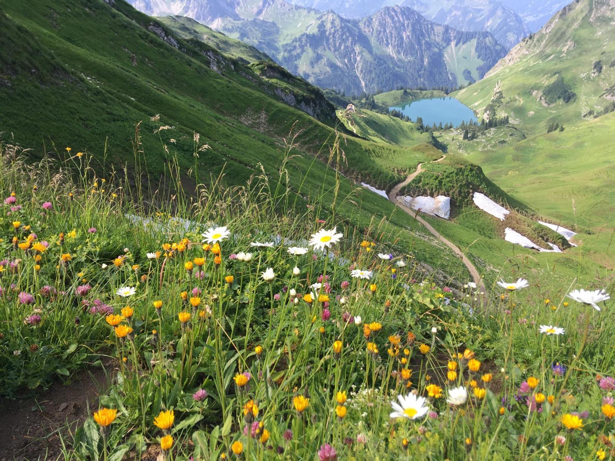Apartmán Haus Sonnenruh Bad Hindelang Exteriér fotografie